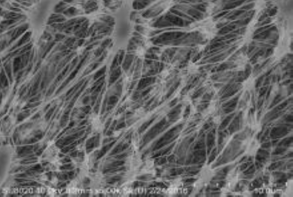 PTFE Membrane is Giving Support to the Production of Medical Protective Clothing