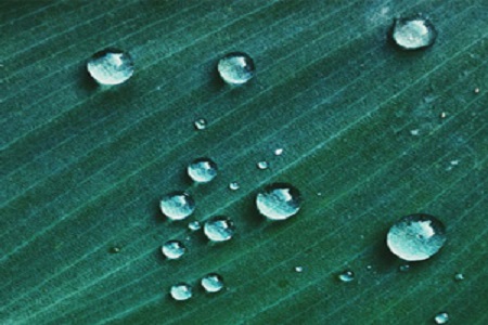 Fast-Drying Fabrics: The New Star of Outdoor Sports Equipment